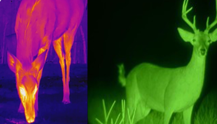 01 Distinction in thermal imaging versus night vision technology 01 Distinction in thermal imaging versus night vision technology