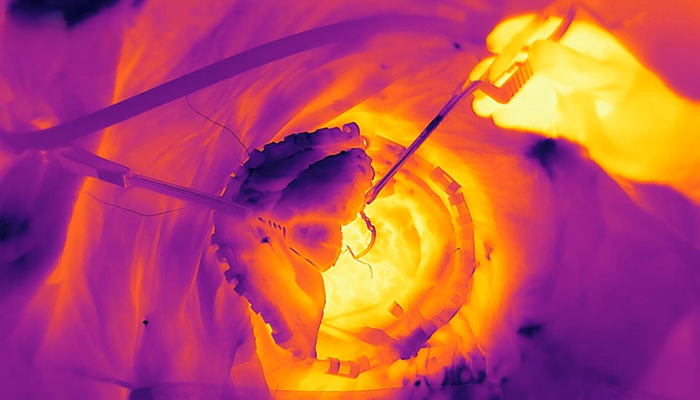 02 High-resolution thermal snapshot of an electrical panel