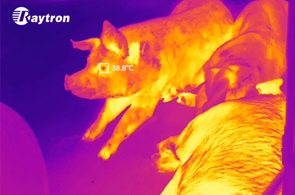 Raytron Infrared Technology Empowers Smarter Farming Solutions